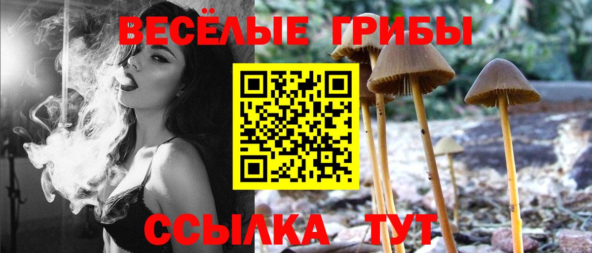Галлюциногенные грибы ЛСД  Вход с VPN  Орёл  Галлюциногенные грибы Magic Shrooms 