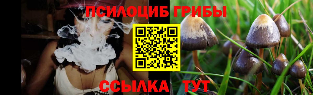 Псилоцибиновые грибы Cubensis Орёл